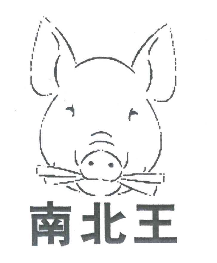 南北王