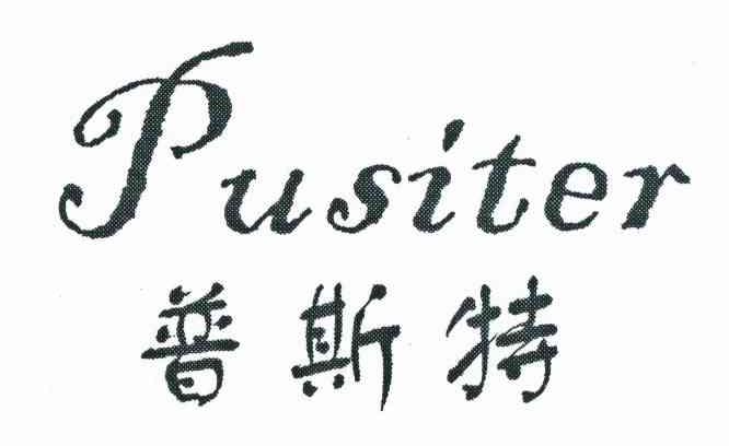 普斯特 PUSITER