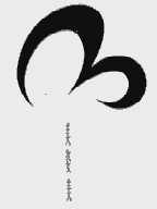 美姿美