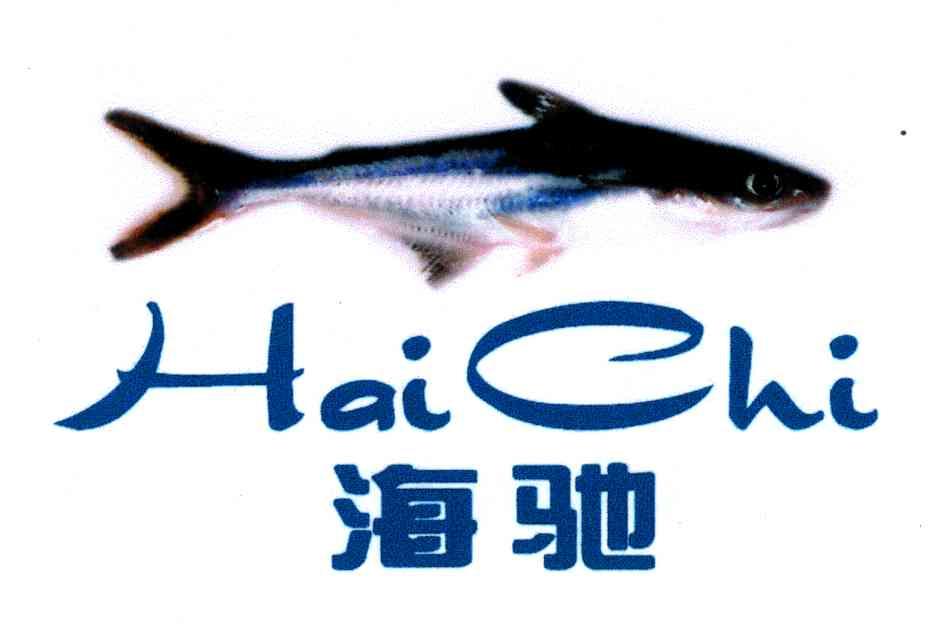 海驰