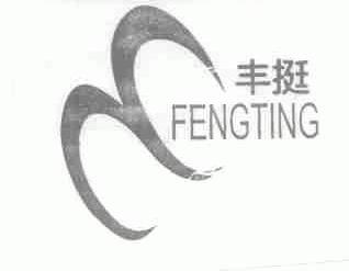 丰挺