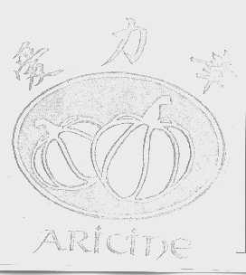 爱力幸   ARICINE