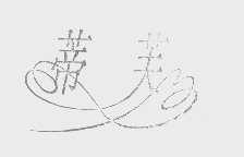 蒂芙