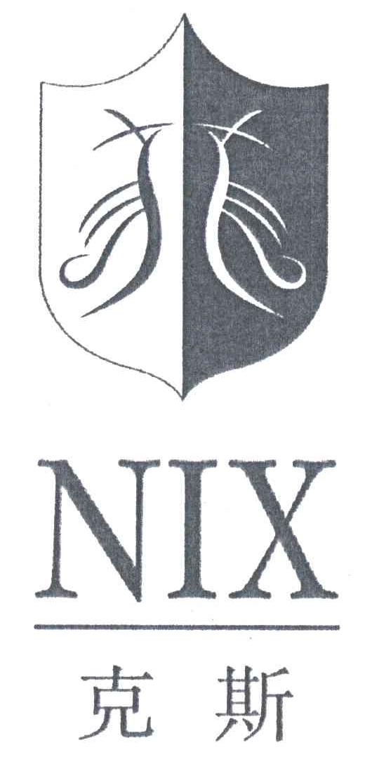 克斯;NIX