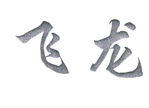 飞龙