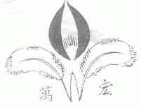 万宏