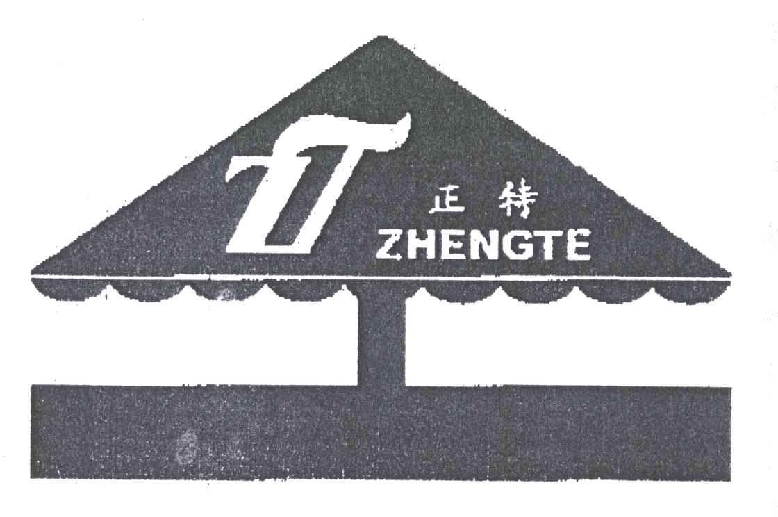 正特