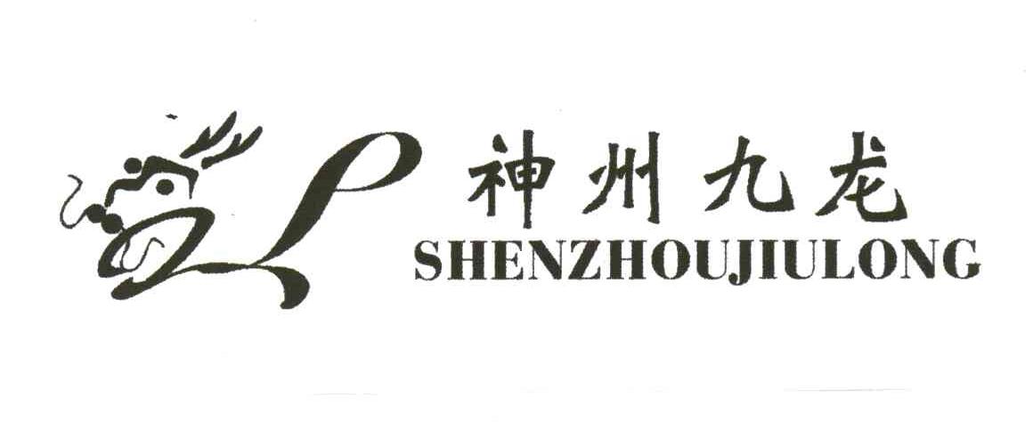神州九龙及图形