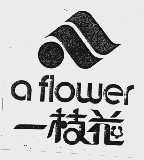 一枝花  A FLOWER