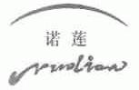 诺莲