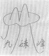 九妹峰