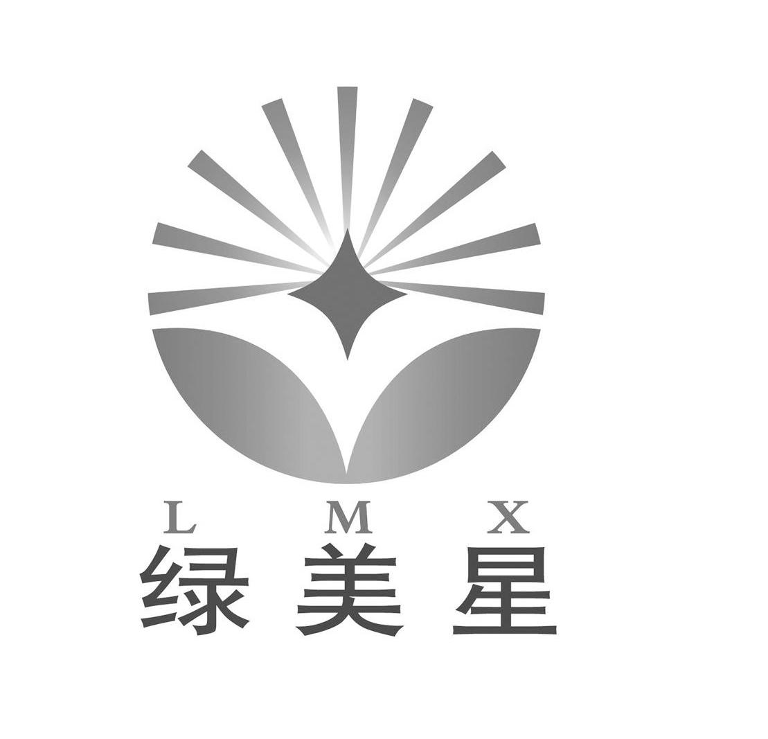 绿美星 LMX
