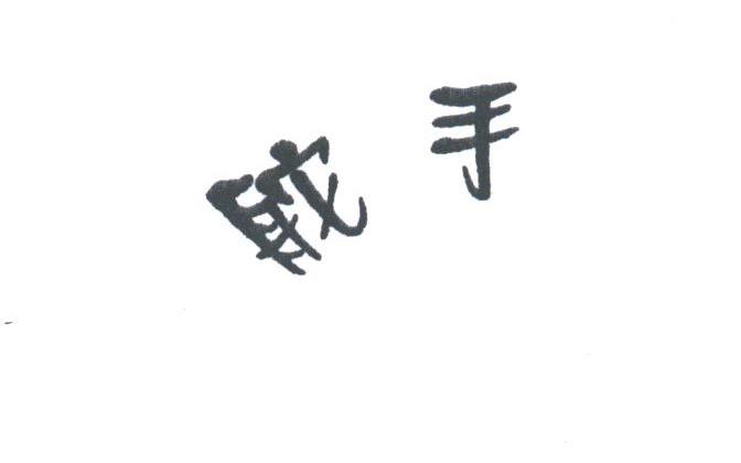 舵手
