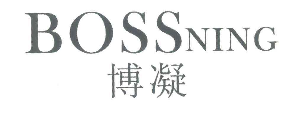 博凝;BOSSNING
