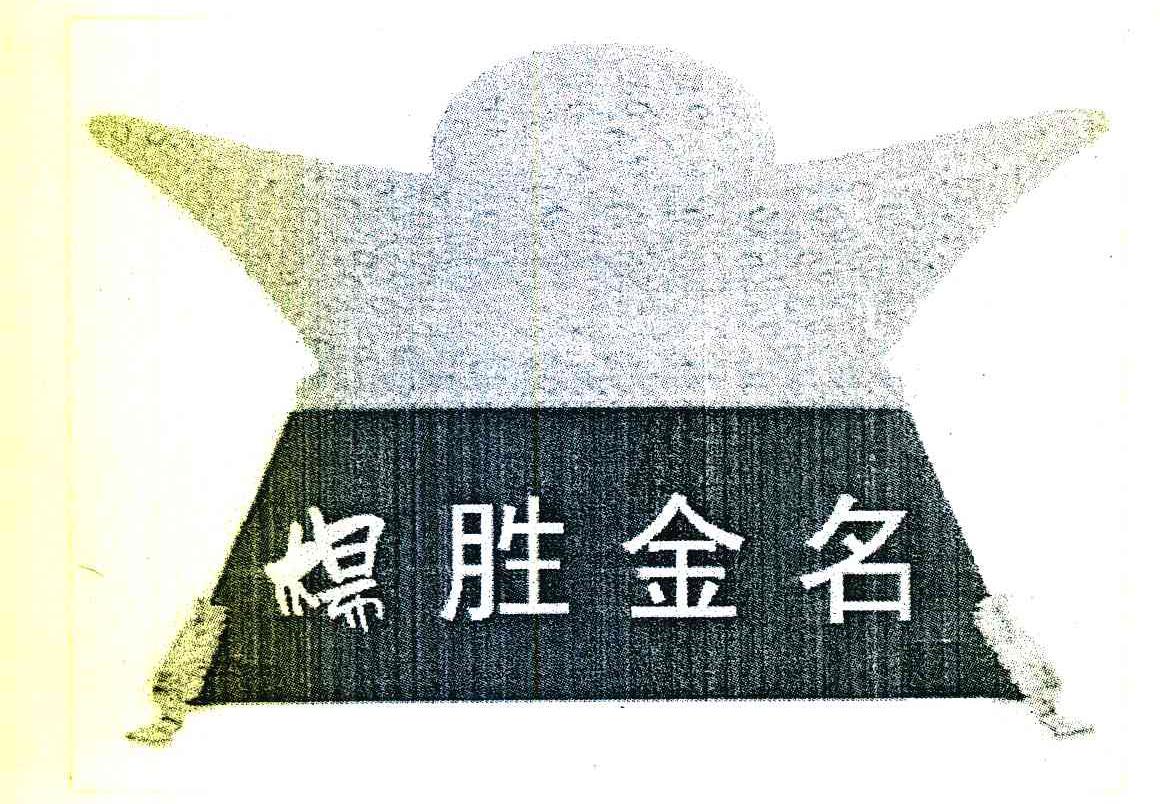 杨胜金名