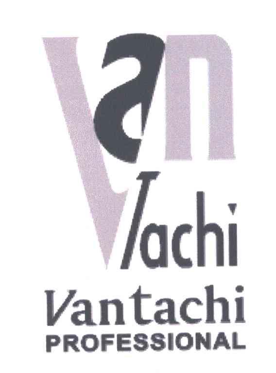 VANTACHI PROFESSIONAL;VANTACHI