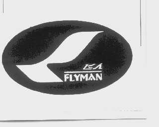 飞人   FLYMAN