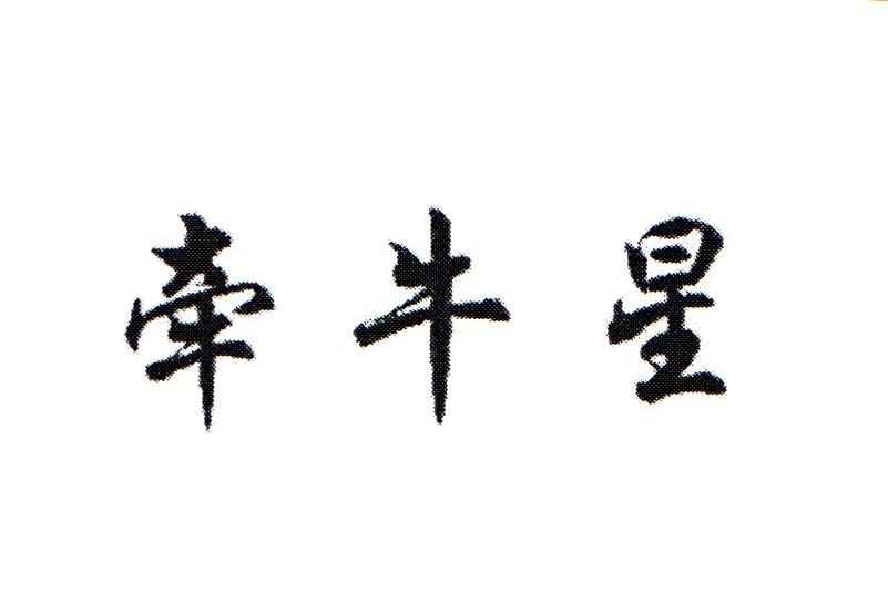 牵牛星