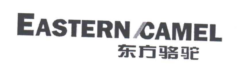 EASTERN CAMEL;东方骆驼