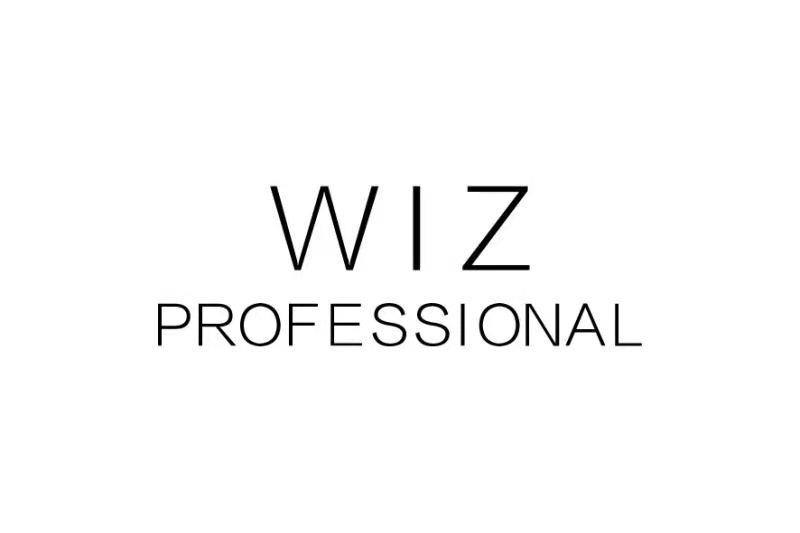 WIZ PROFESSIONAL