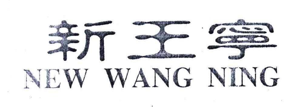 新王宁;NEW WANG NING