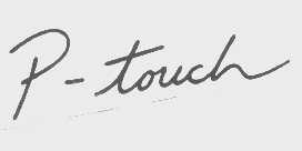 P-TOUCH