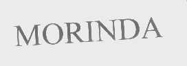 MORINDA