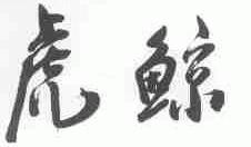 虎鲸