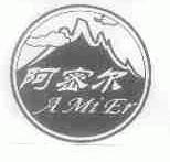 阿密尔