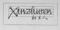 新主人