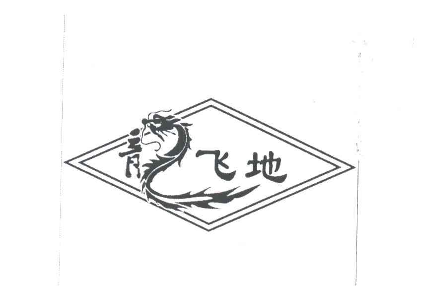 龙飞地