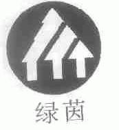 绿茵