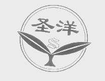圣洋