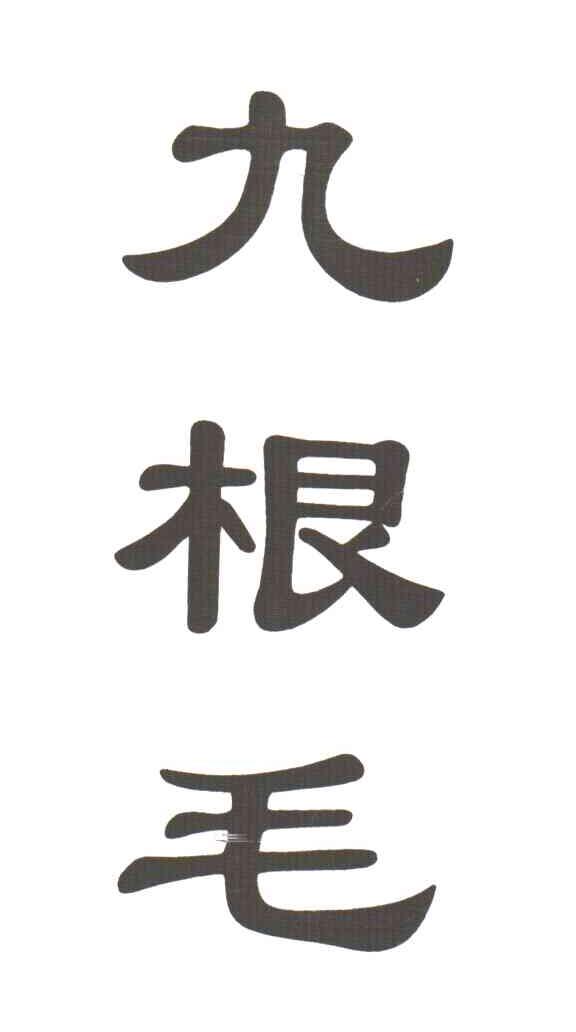 九根毛