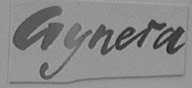 GYNERA