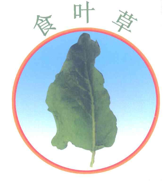 食叶草