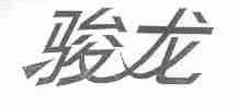 骏龙