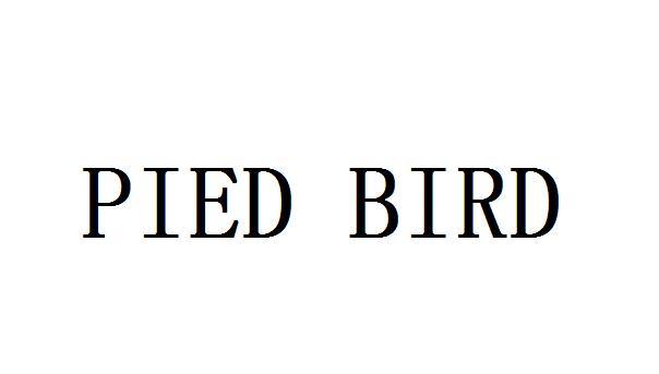 PIED BIRD