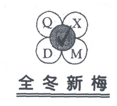 全冬新梅;QDXM