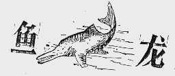 鱼龙