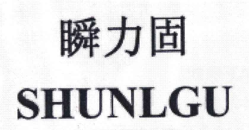 瞬力固;SHUNLGU