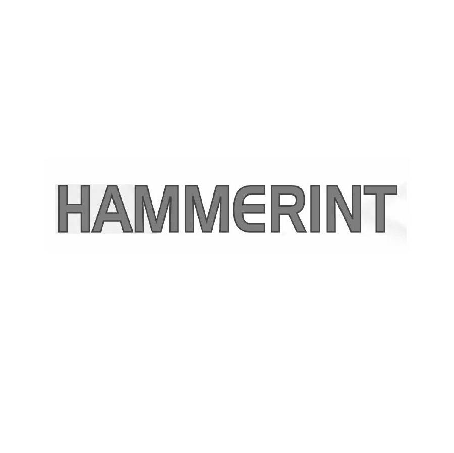 HAMMERINT