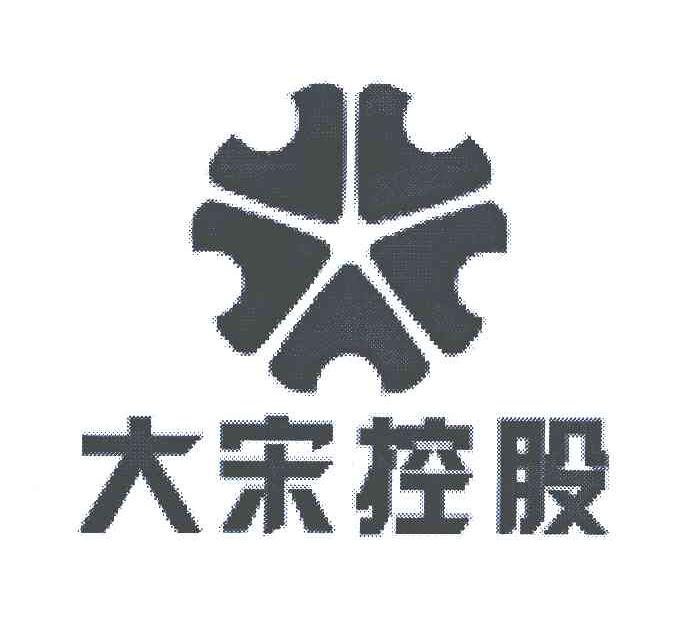 大宋控股