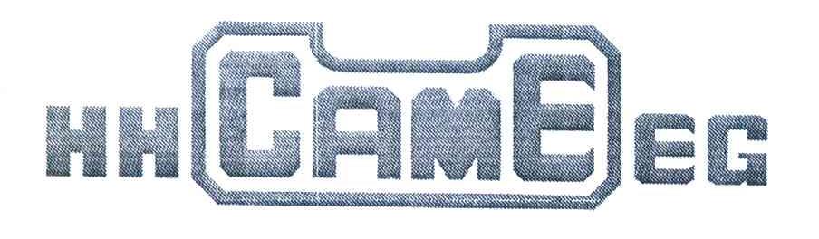 HHCAMEEG