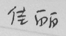 佳丽