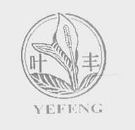 叶丰