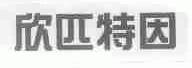 欣匹特因