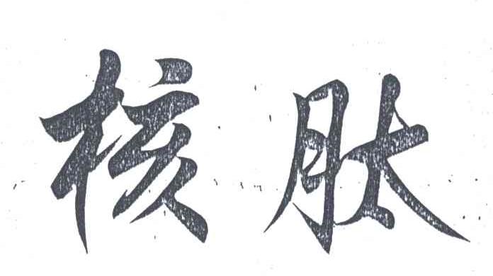 核肽