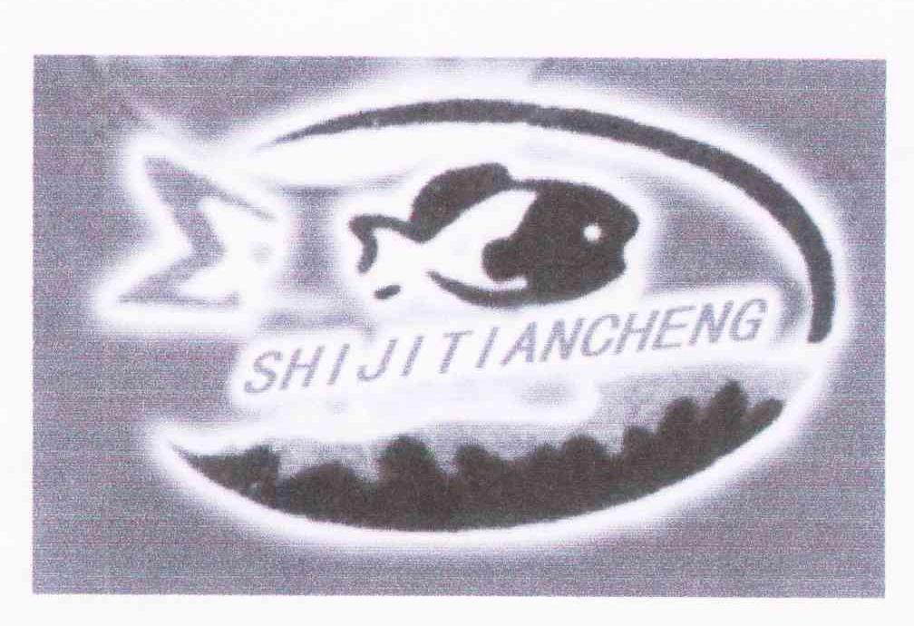 SHIJITIANCHENG