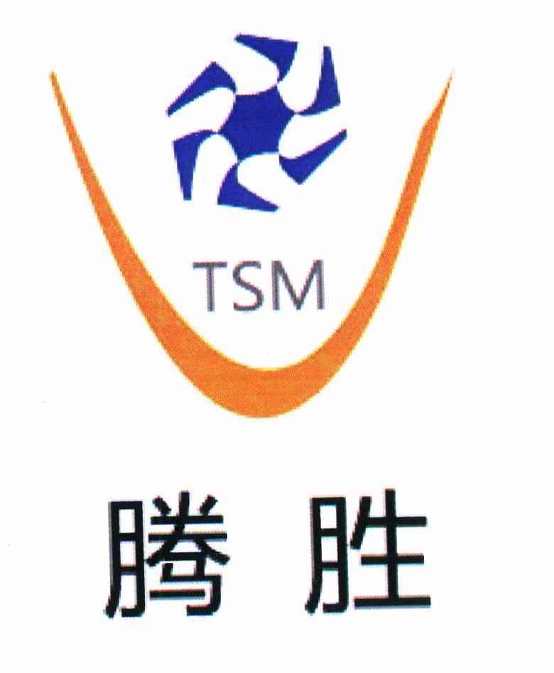 腾胜 TSM